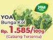 Promo Harga Bunga Kol per 100 gr - Yogya