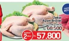 Promo Harga Ayam Broiler 700 gr - LotteMart