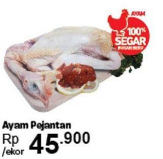 Promo Harga Ayam Pejantan  - Carrefour
