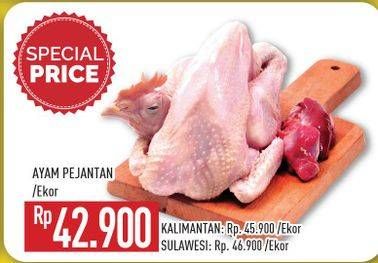 Promo Harga Ayam Pejantan  - Hypermart