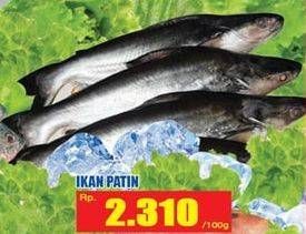 Promo Harga Ikan Patin per 100 gr - Hari Hari