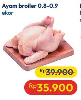 Promo Harga Ayam Broiler 800 gr - Hypermart