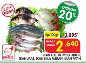 Promo Harga Ikan Lele Dumbo Hidup/Ikan Mas/Ikan Nila Merah/Ikan Patin  - Superindo