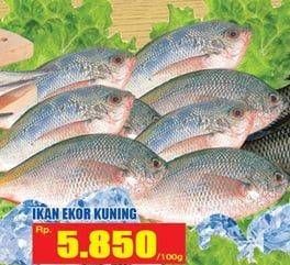 Promo Harga Ikan Ekor Kuning per 100 gr - Hari Hari