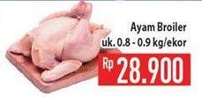 Promo Harga Ayam Broiler  - Hypermart