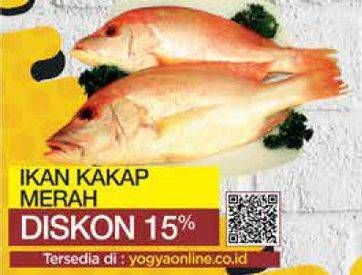 Promo Harga Ikan kakap merah  - Yogya