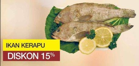 Promo Harga Ikan Kerapu per 100 gr - Yogya