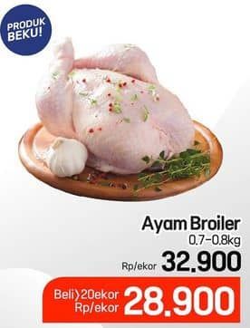 Promo Harga Ayam Broiler 700 gr - Lotte Grosir