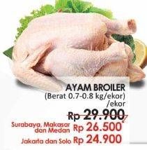 Promo Harga Ayam Broiler  - LotteMart