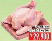 Promo Harga Ayam Broiler  - Hypermart