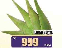 Promo Harga Lidah Buaya per 100 gr - Hari Hari