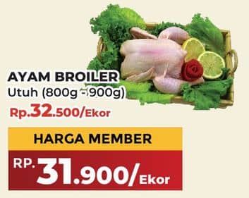 Promo Harga Ayam Broiler 800 gr - Yogya