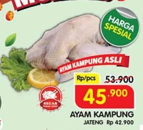 Promo Harga Ayam Kampung 500 gr - Superindo