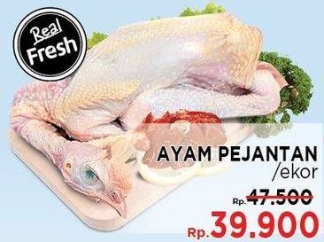 Promo Harga Ayam Pejantan  - LotteMart