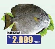 Promo Harga Ikan Kipas per 100 gr - Hari Hari