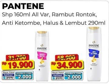 Promo Harga Pantene Shampoo All Variants 160 ml - Alfamart