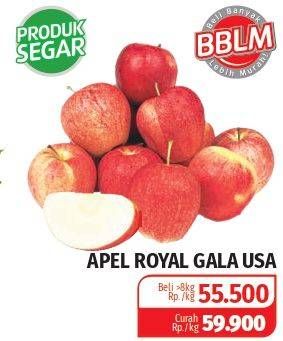 Promo Harga Apel Royal Gala USA  - Lotte Grosir