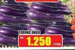 Promo Harga Terong Ungu per 100 gr - Hari Hari