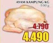 Promo Harga Ayam Kampung per 100 gr - Giant