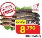 Promo Harga Ikan Gabus per 100 gr - Superindo