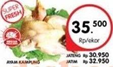 Promo Harga Ayam Kampung  - Superindo