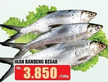 Promo Harga Ikan Bandeng Besar per 100 gr - Hari Hari