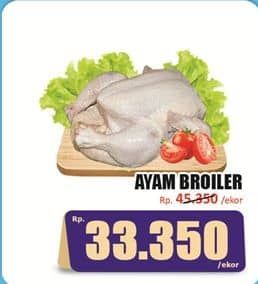 Ayam Broiler