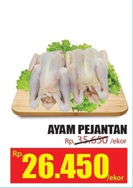 Promo Harga Ayam Pejantan  - Hari Hari