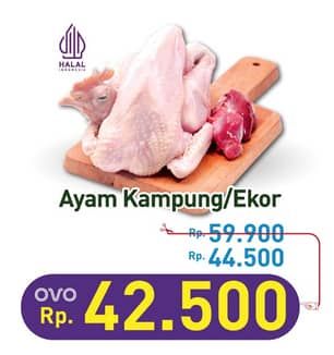 Promo Harga Ayam Kampung 500 gr - Hypermart