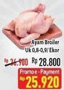 Promo Harga Ayam Broiler Ekor  - Hypermart