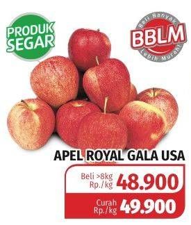 Promo Harga Apel Royal Gala USA  - Lotte Grosir