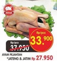 Promo Harga Ayam Pejantan  - Superindo