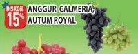 Promo Harga Anggur Calmeria/ Autumn Royal 100gr  - Hypermart