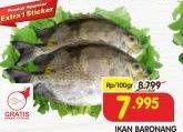 Promo Harga Ikan Baronang per 100 gr - Superindo