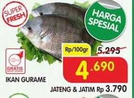 Promo Harga Ikan Gurame per 100 gr - Superindo