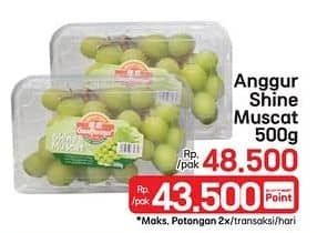Promo Harga Anggur Shine Muscat 500 gr - LotteMart
