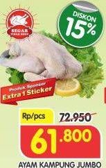 Promo Harga Ayam Kampung Jumbo  - Superindo