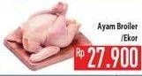 Promo Harga Ayam Broiler  - Hypermart