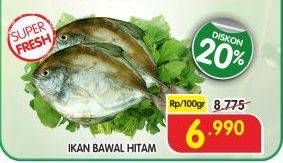 Promo Harga Ikan Bawal Hitam per 100 gr - Superindo