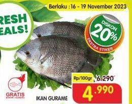 Promo Harga Ikan Gurame per 100 gr - Superindo