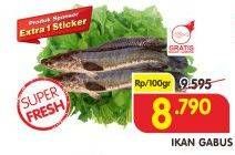 Promo Harga Ikan Gabus per 100 gr - Superindo