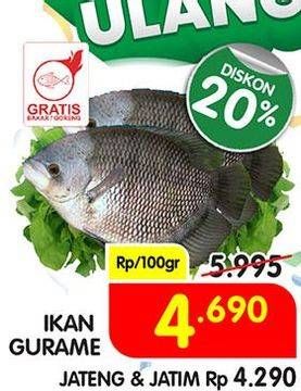 Promo Harga Ikan Gurame per 100 gr - Superindo