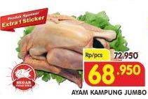 Promo Harga Ayam Kampung Jumbo  - Superindo