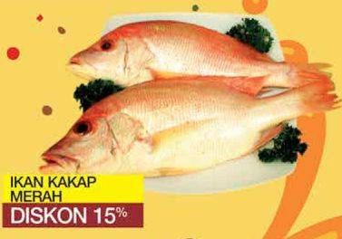 Promo Harga Ikan kakap merah  - Yogya