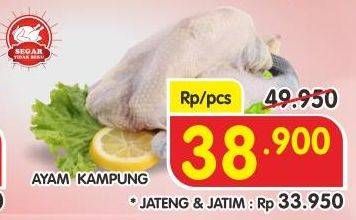 Promo Harga Ayam Kampung  - Superindo