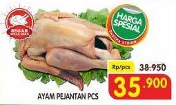 Promo Harga Ayam Pejantan  - Superindo