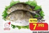 Promo Harga Ikan Baronang per 100 gr - Superindo