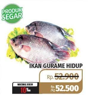 Promo Harga Ikan Gurame Hidup  - Lotte Grosir