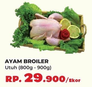 Promo Harga Ayam Broiler 800 gr - Yogya