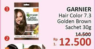 Promo Harga GARNIER Hair Color Golden Brown 30 gr - Alfamidi